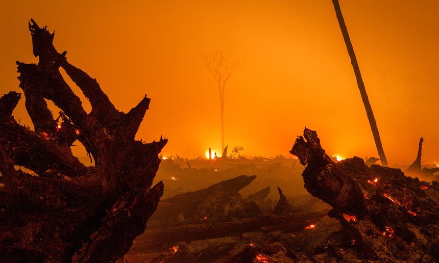 130.000 incendi boschivi in ​​Indonesia hanno oscurato i cieli su gran parte del sud-est asiatico la scorsa estate e l'autunno, distruggendo più di 13mila km quadrati di foresta pluviale vergine.' Foto: Ulet Ifansasti / Getty
